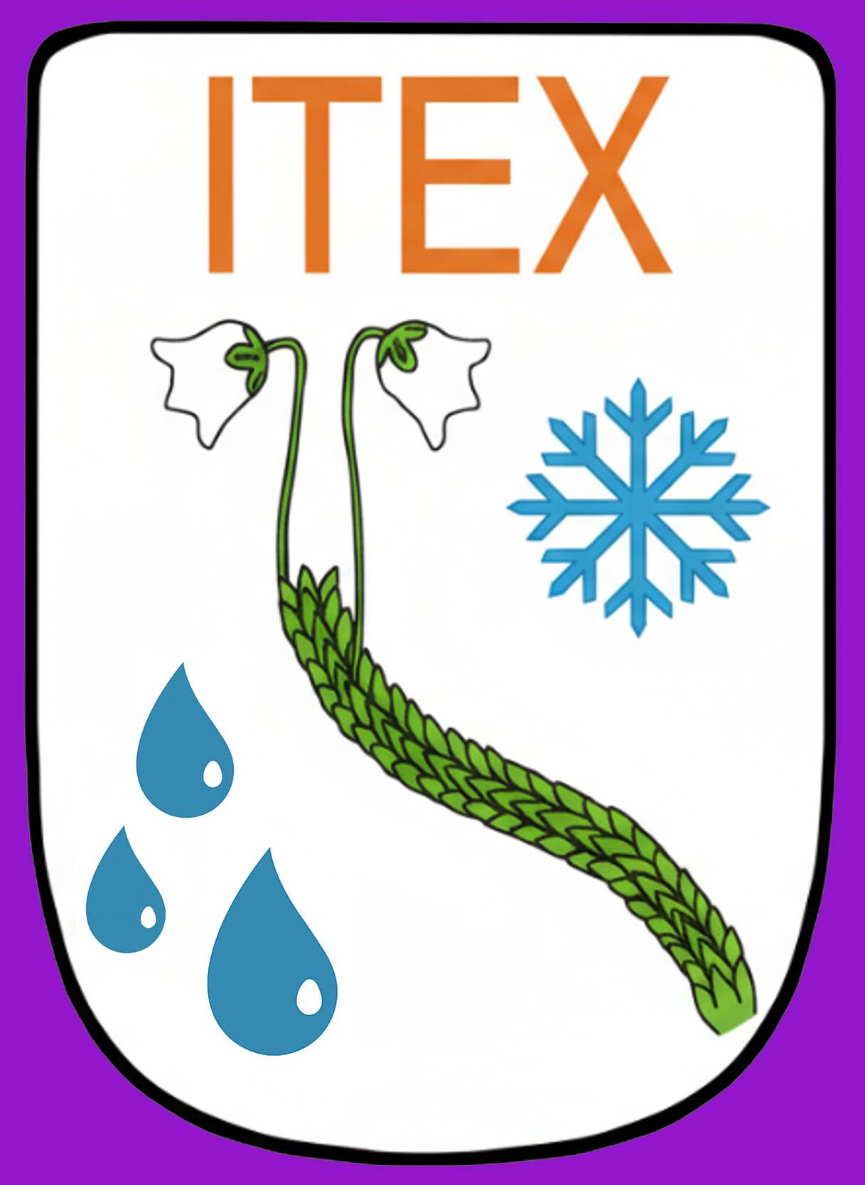 ITEX logo Color JPG with edge